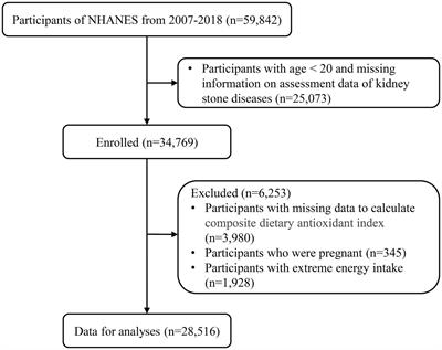 Association between composite dietary antioxidant index and kidney stone prevalence in adults: data from National Health and Nutrition Examination Survey (NHANES, 2007–2018)